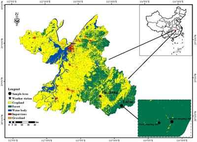 Warming-induced drought leads to tree growth decline in subtropics: Evidence from tree rings in central China